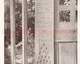 36_A Ház, 1910/3. 70. p.