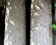 08_05